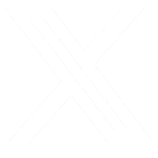 x logo